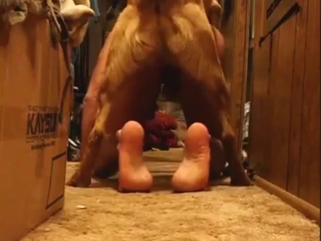 Crazy bestiality sex with doggystyle banging