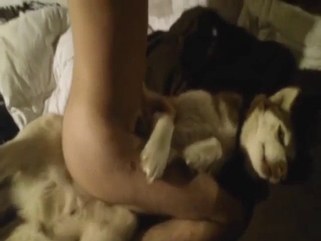 Round booty zoophile riding a hot red dog cock