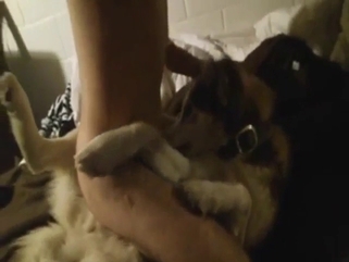 Round booty zoophile riding a hot red dog cock