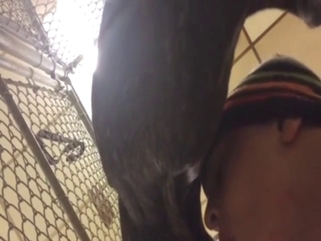 First-ever blowjob from a sexy zoophile in HQ