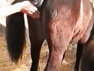 Hot mare is being fucked hard