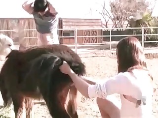 Hairy zoophile fucks with a doggy