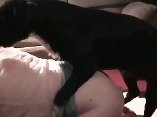 Hot anal action with a puppy