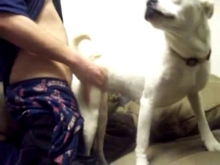 Doggy and a horny zoophile fuck so freaking sweet