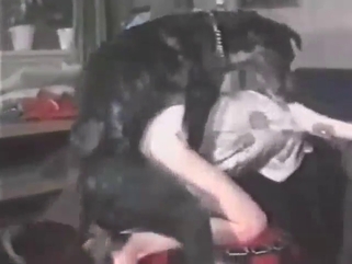 Dog fucking looks great with two hotties