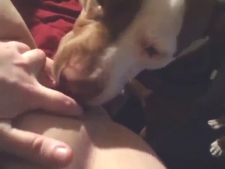 Delicious pussy fed to a super-sexy beast