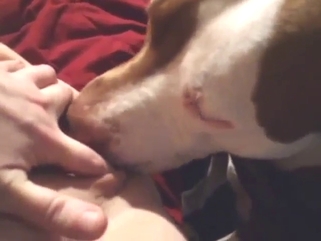 Delicious pussy fed to a super-sexy beast