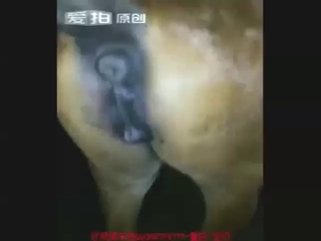 No way you could resist a mare's wet pussy