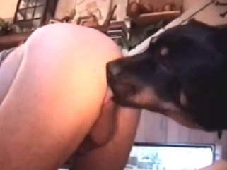 Rottweiler fuck movie with a sexy guy cumming