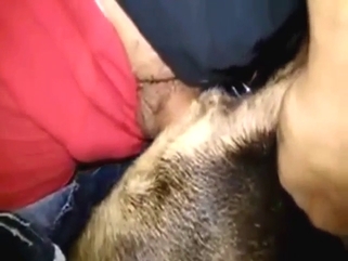 Dude is going to fuck a deranged beast up close