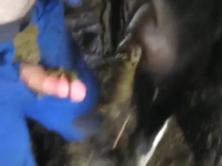 Dude is going to fuck a cow to make sure it's WOW