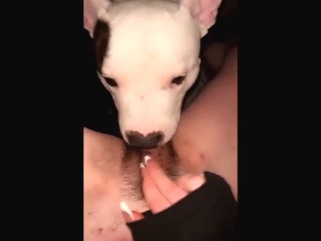 Lady is going to get herself off with dog tongue