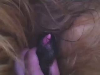 Dog in a zoo porn video with hot close-ups