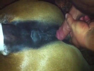 Pony fuck in zoo porn scene with real gaping