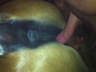 Pony fuck in zoo porn scene with real gaping