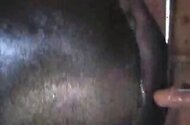 Blowjob bestiality sex